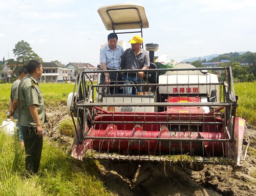 圖為縣農(nóng)機(jī)局副局長龔厚賢在上梅鎮(zhèn)白羊坪指導(dǎo)機(jī)手操作收割機(jī).jpg